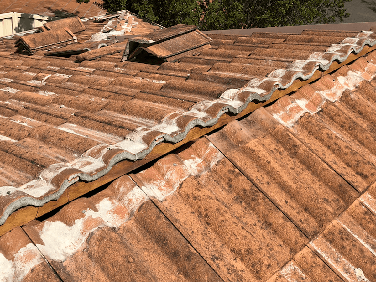 Blogs roof-pointing pointing-a-roof-1